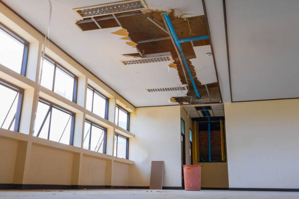 Best Mold removal after water damage  in Dunthpe, OR