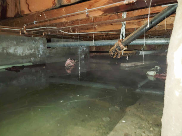 Best Water damage restoration near me  in Dunthpe, OR