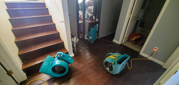 Best Water damage restoration insurance claims  in Dunthpe, OR