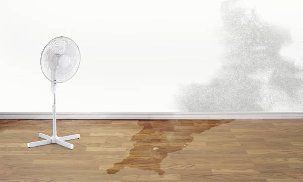 Best Flooded house restoration  in Dunthpe, OR